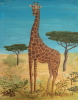 Giraffe Vorschau